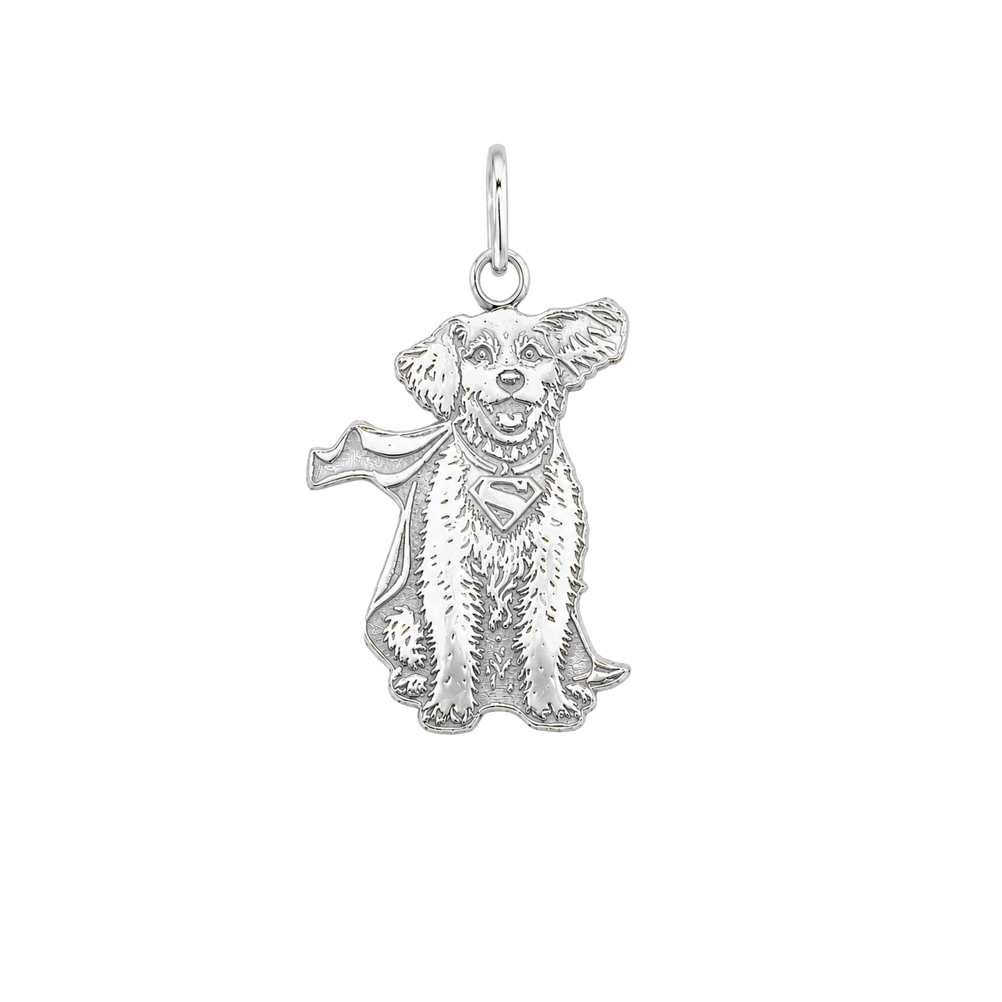 Dije Krypto en plata .925